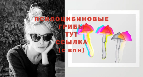 герыч Алексин