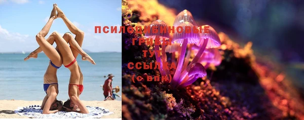 дурь Алзамай