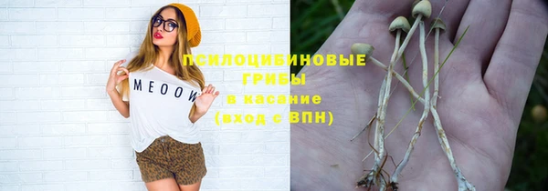 таблы Няндома