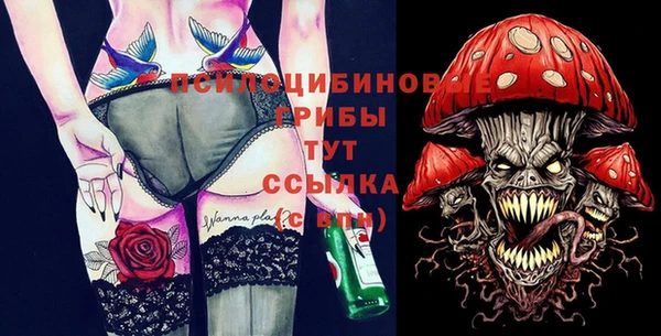 твердый Алексеевка