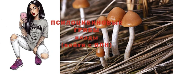твердый Алексеевка